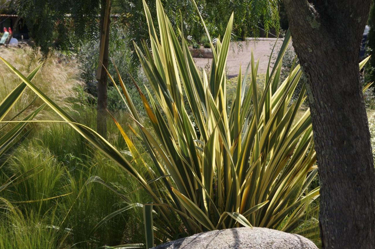Les Jardins De Santa Giulia - Charmante Chambre D'Hote Порто-Веккіо Екстер'єр фото